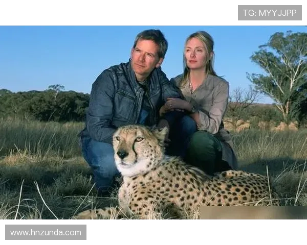 追随小豹杜玛踏上荒野成长与勇气交织的温情影视冒险传奇 追随小豹杜玛踏上荒野成长与勇气交织的温情影视冒险传奇