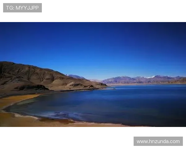 《风中百合》:一曲生命赞歌,一次灵魂洗礼,照亮你我前行的路 《风中百合》:一曲生命赞歌,一次灵魂洗礼,照亮你我前行的路