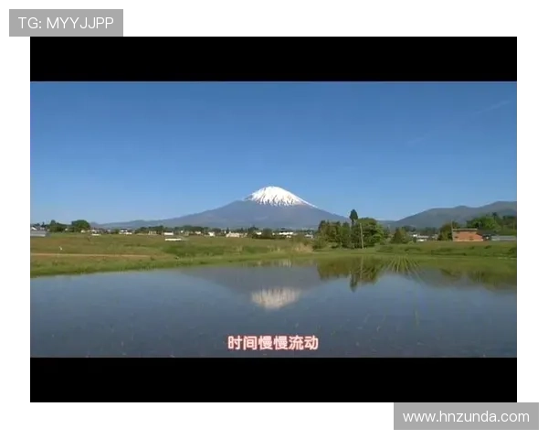 猫咪物语5：当小毛球遇上大世界，一场关于爱与勇气的奇幻漂流